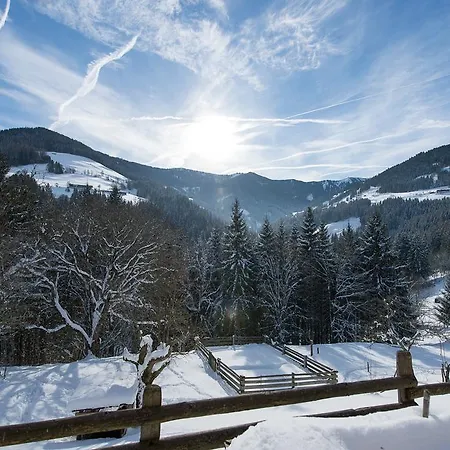 Отель Erbhof Anderlhof 3*